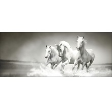 Decoratieve muurafbeelding met drie witte paarden die door het water rennen