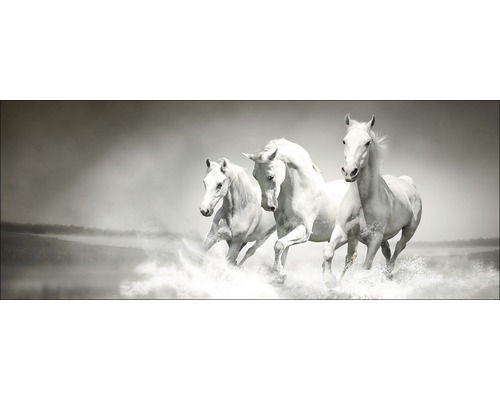 Decoratieve muurafbeelding met drie witte paarden die door het water rennen