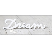 Decoratief object lettertype Droom met harten