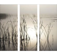 Driedelige muurafbeelding met riet in het water