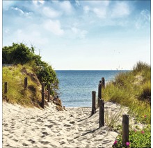 Decoratieve afbeelding van een zandpad naar de zee, omzoomd door duinen en houten palen.
