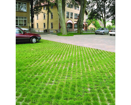 Uitzicht op grasbetontegels op een parkeerplaats