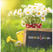 Tuinscene met madeliefjes in een pot, gieter en schoolbord met het woord zonneschijn