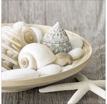 Decoratieve schaal met schelpen, stenen en zeester