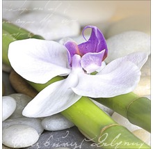 Decoratie met orchidee, bamboe en stenen