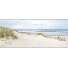 Duin met helmgras op het strand