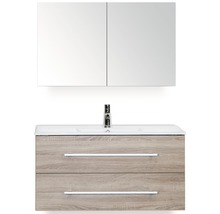 Wastafelcombinatie met spiegelkast, wastafel en twee lades