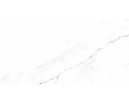Wand- en vloertegel Verona blanco 32x62,5 cm