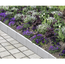 Betonnen gazonrand met bloemen en straatstenen