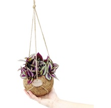 FLORASELF Kokodama tradescantia zebrina Ø15 cm H35 cm