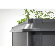 Detailopname van een plantenbak met planten