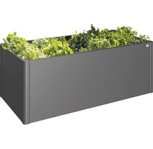 BIOHORT Plantenbak klassiek formaat 2x1 donkergrijs metallic 201x102x77 cm