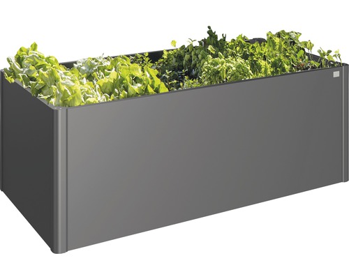 Rechthoekige plantenbak beplant met sla