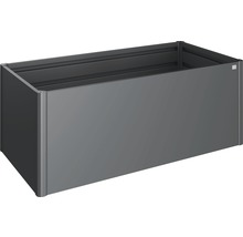 BIOHORT Plantenbak klassiek formaat 2x1 donkergrijs metallic 201x102x77 cm