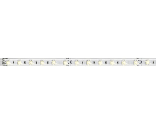 PAULMANN MaxLED 500 LED-strip instelbaar wit 100 cm zilver gecoat