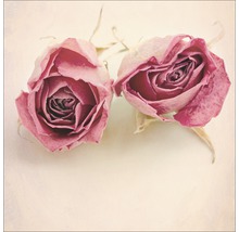 Twee gedroogde rozenbloemen