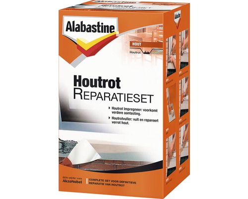 ALABASTINE Houtrot reparatieset 500 g
