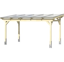 Houten carport met transparant dak