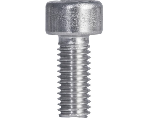 Metalen lenskopschroef