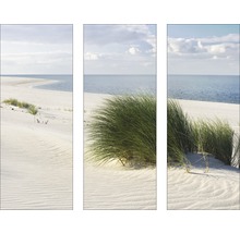 PURE LIVING Schilderij glas Dune set van 3 stuks