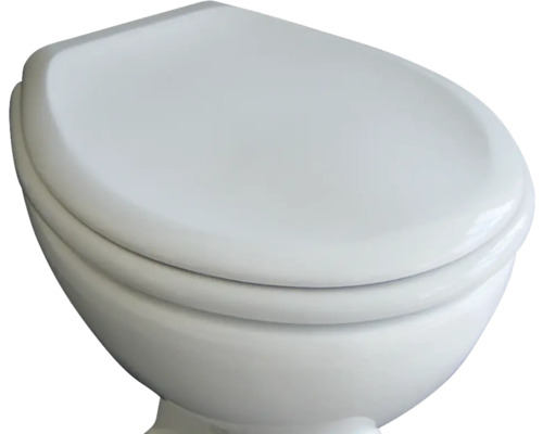 Keramisch toilet met toiletdeksel