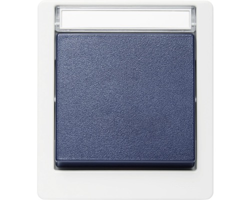 ROTH LANGE Opbouw wisselschakelaar IP55 gijs/blauw Spatwaterdicht Blauw schakelinzetstuk met beschrijvingsveld