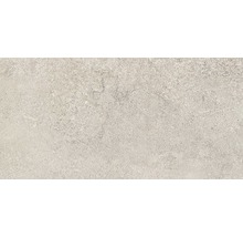 Wand- en Vloertegel Castle grijs 45 x 90 cm gerectificeerd