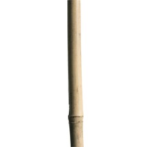 Bamboestok 240 cm-thumb-0