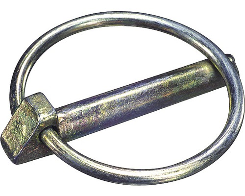 DRESSELHAUS Borgpen Ø 6 mm galv. verzinkt, 100 stuks Bout met ring voor bevestiging