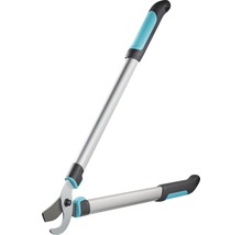 Takkenzaag voor tuinwerkzaamheden