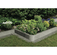 Betonnen border met beplanting in de tuin.