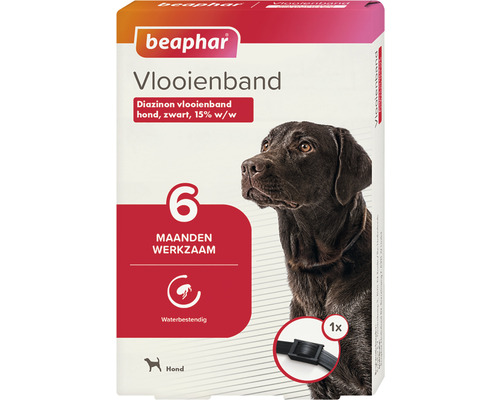 Beaphar Vlooienband, 6 maanden, hond, zwart 1 st