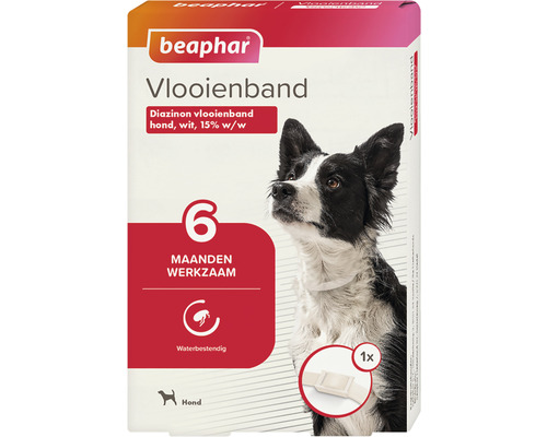 Beaphar Vlooienband, 6 maanden, hond, wit 1 st