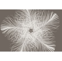 Abstracte weergave van een bloemmotief