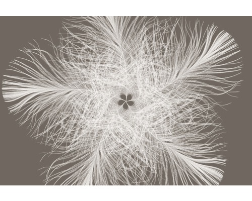 KOMAR Fotobehang vlies XXL4-006 Colours Imagine Edition 5 Veer 368x248 cm Abstracte weergave van een bloemmotief