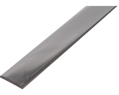 KAISERTHAL Platte stang 20x2 mm RVS, 100 cm Platstaal