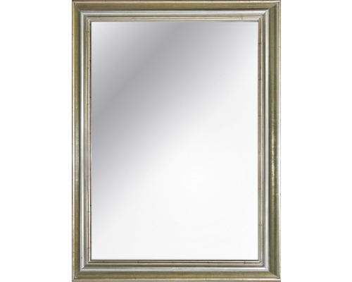 THE WALL Spiegel Rome zilver/goud 83x163 cm