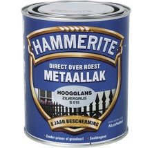 HAMMERITE Metaallak hoogglans zilvergrijs S015 750 ml