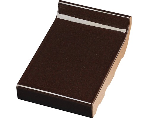 Raamdorpel verglaasd donker bruin (l x b x d) 160 x 105 x 20 mm Donkerbruine afwerkingsstrip