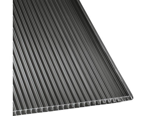 GUTTA Polycarbonaat Kanaalplaat, brons, 2000x1050x10 mm Kunststof kanaalplaat