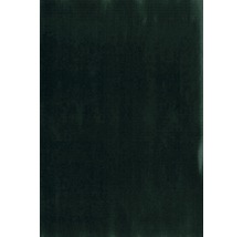 D-C-FIX Krijtfolie zelfklevend groen 45x150 cm