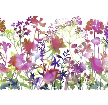 Illustratie van verschillende tuinbloemen