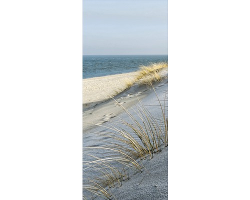 Duin met helmgras voor zee