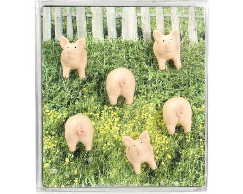 Decoratieve koelkastmagneet met varkens op een weide