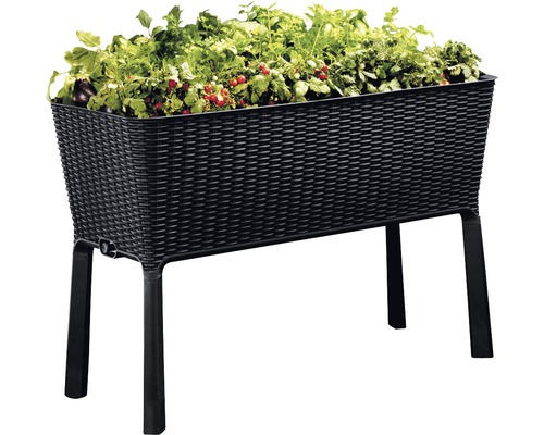 Kunststof plantenbak met planten