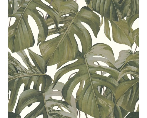 A.S. CRÉATION Vliesbehang 36519-2 Michalsky 3 Monsterablad groen Behang met Monstera bladpatroon