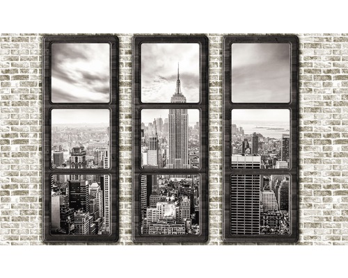Fotobehang papier New York uitzicht 254x184 cm