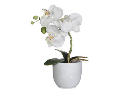Kunstplantlaenopsis hoogte 26 cm wit