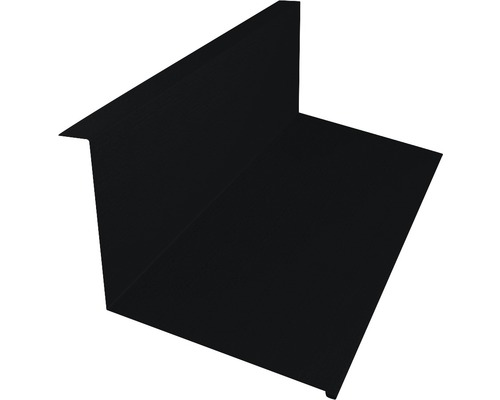 PRECIT Muuraansluitingsprofiel voor dakpanplaat, BigStone RAL9005 zwart, 2000x110x73 mm