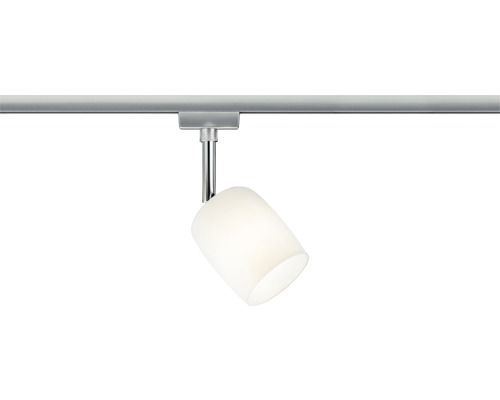 Railsysteem spot met glazen lampenkap